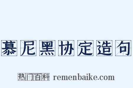 慕尼黑协定造句是什么意思的图片